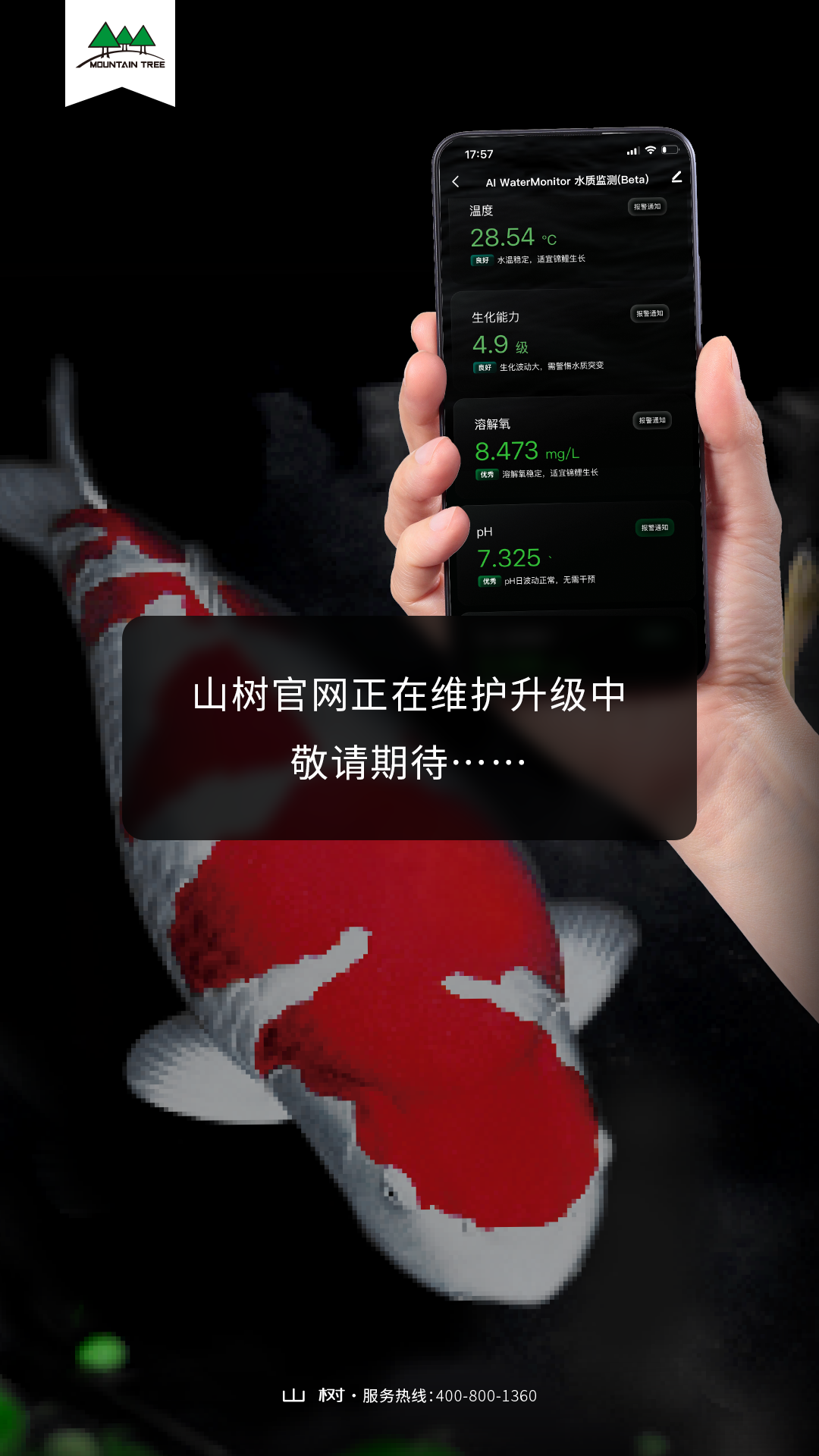 山树官网正在维护升级中，敬请期待